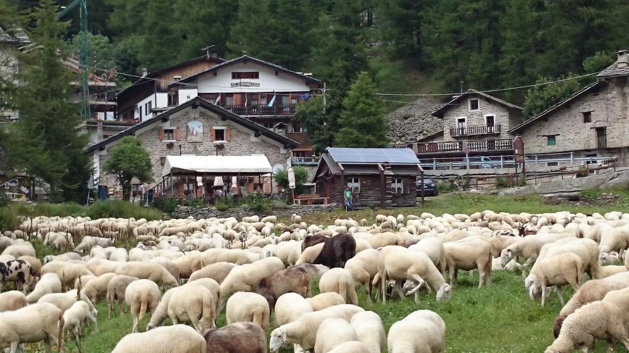 Chalet Del Lago Ceresole Reale Dış mekan fotoğraf
