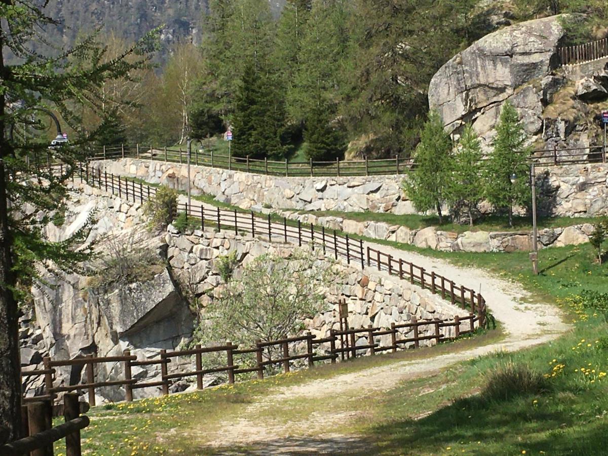 Chalet Del Lago Ceresole Reale Dış mekan fotoğraf