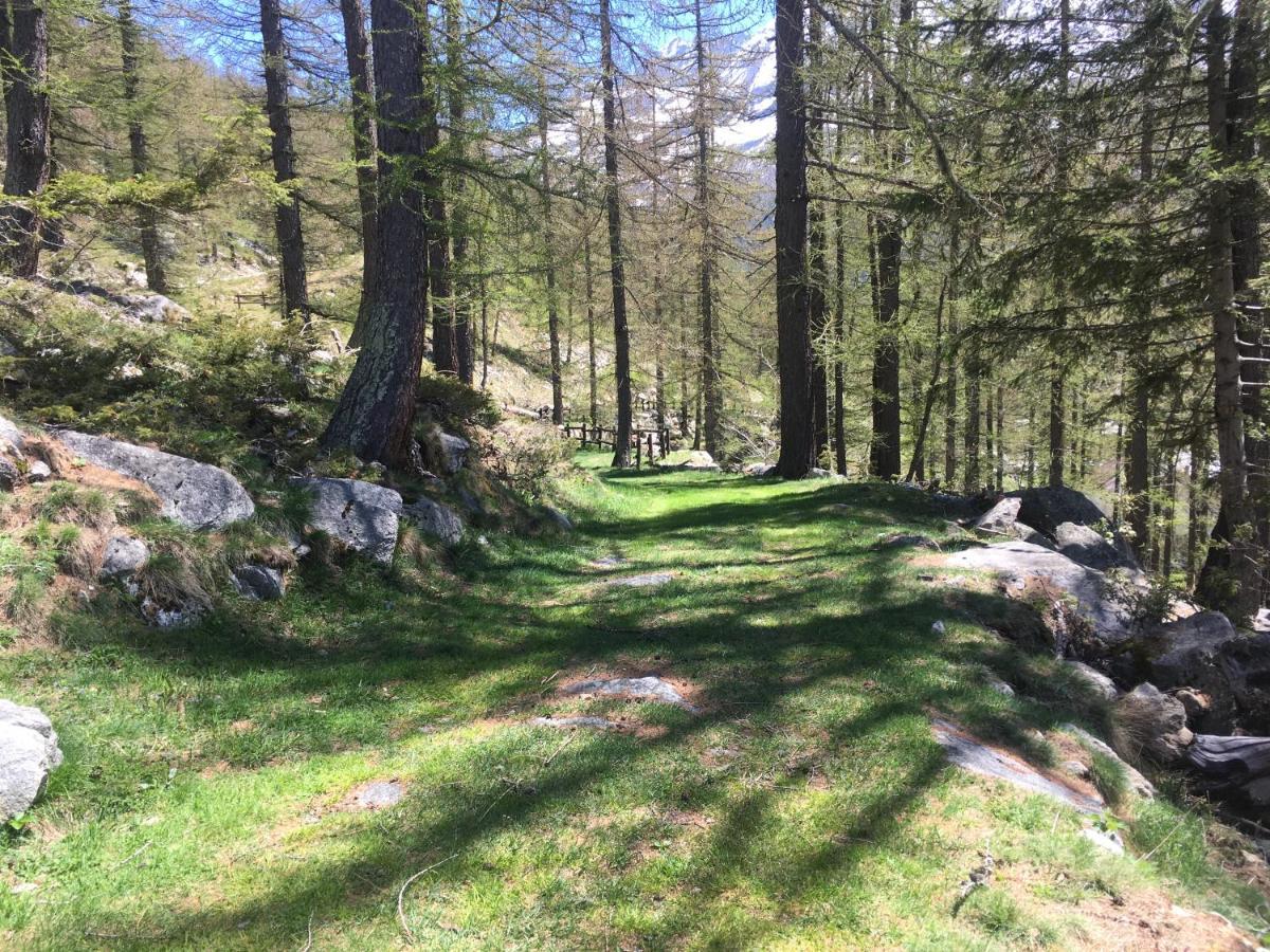 Chalet Del Lago Ceresole Reale Dış mekan fotoğraf