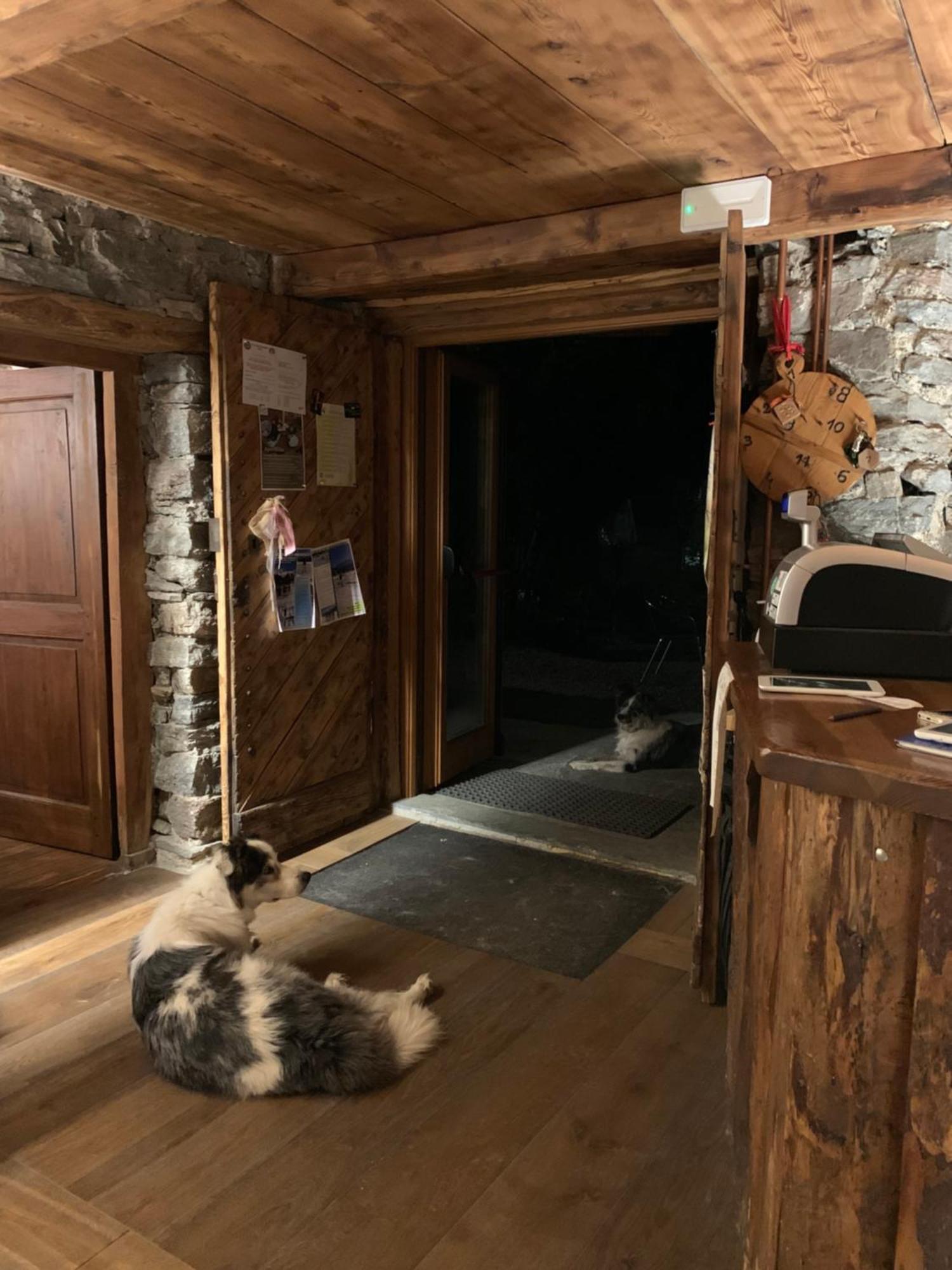 Chalet Del Lago Ceresole Reale Dış mekan fotoğraf