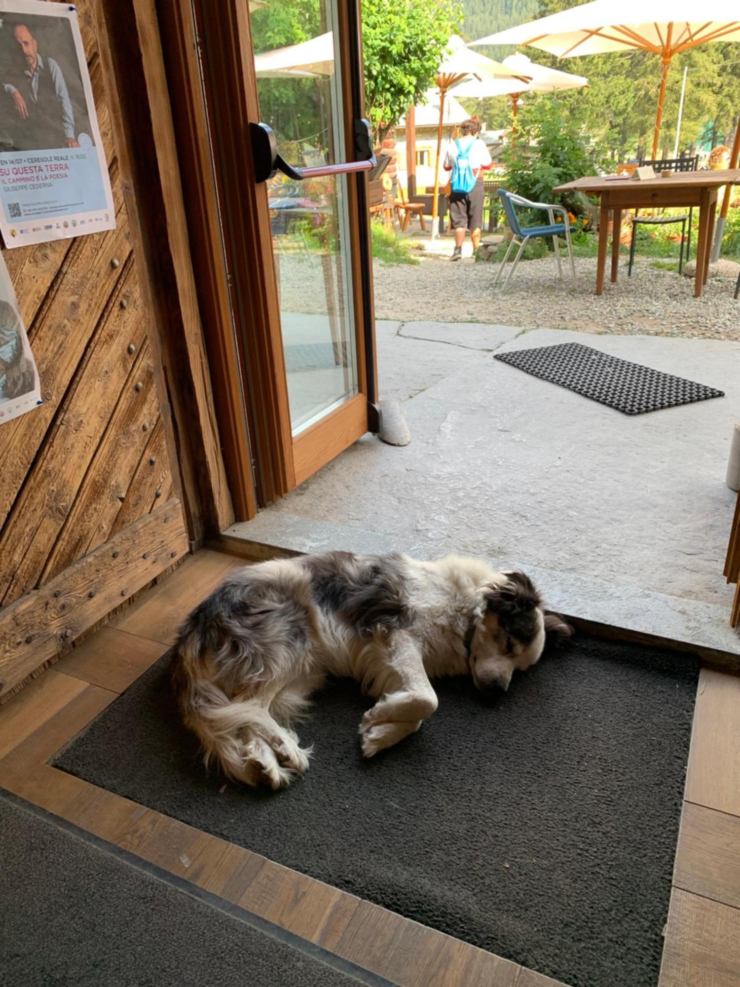 Chalet Del Lago Ceresole Reale Dış mekan fotoğraf